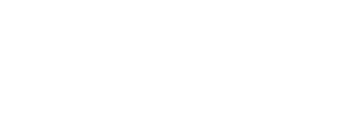 SkyVu