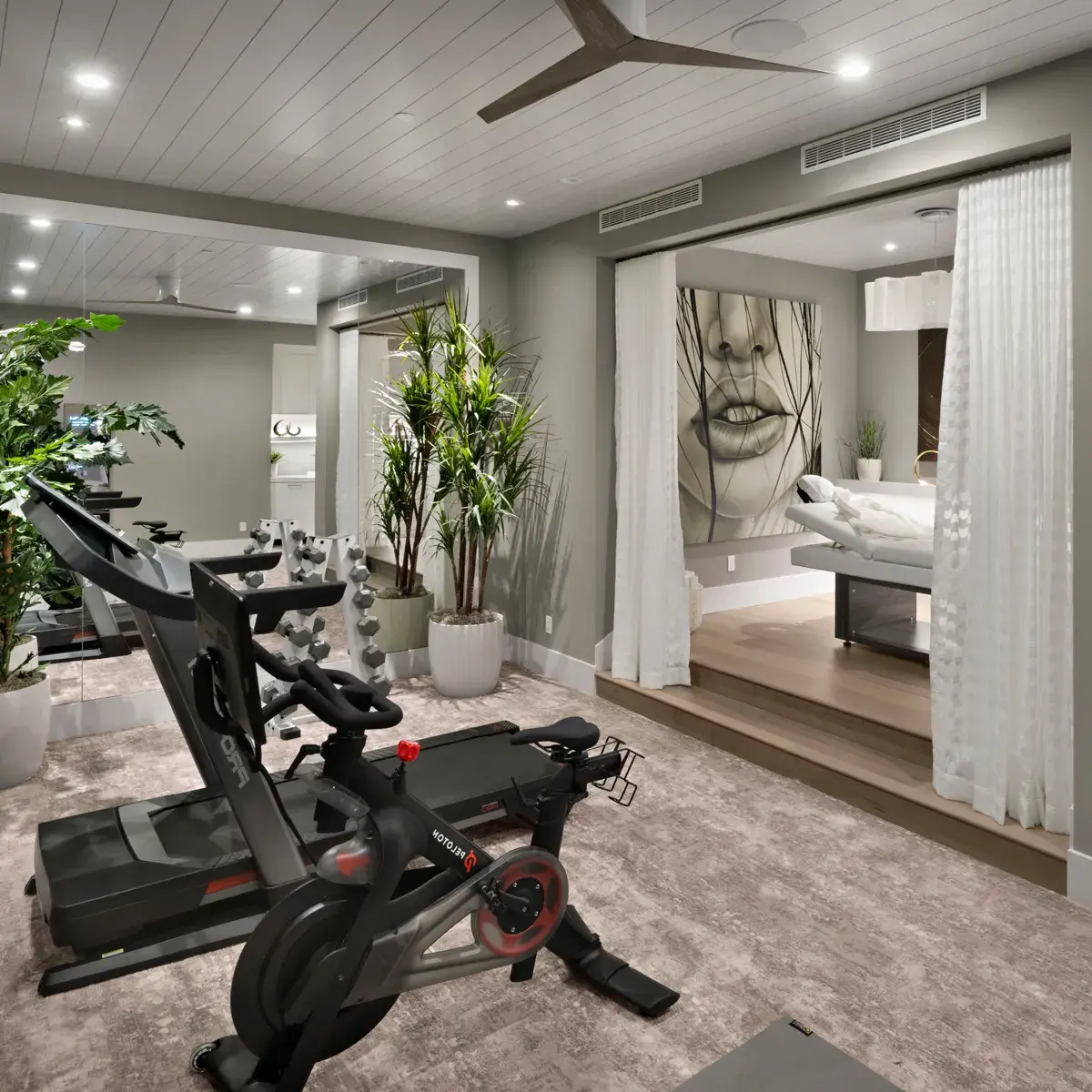 SkyVu 215 - Wellness Suite