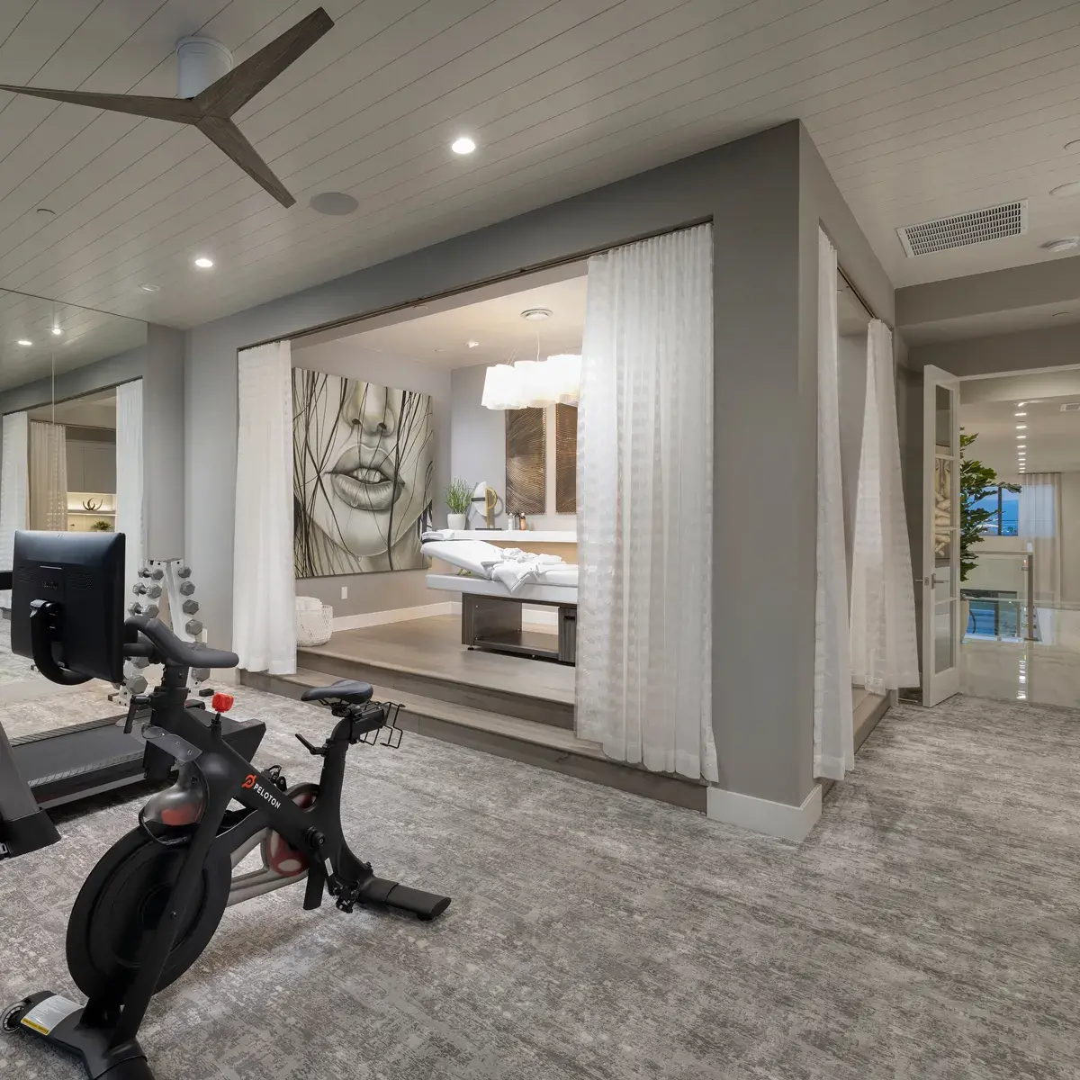 SkyVu Home 217 Workout Room