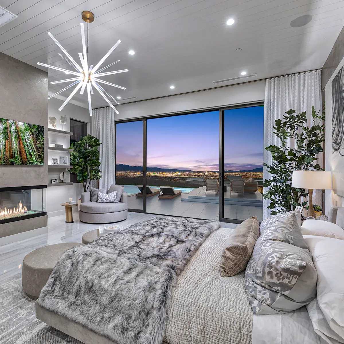 SkyVu Home 217 Primary View
