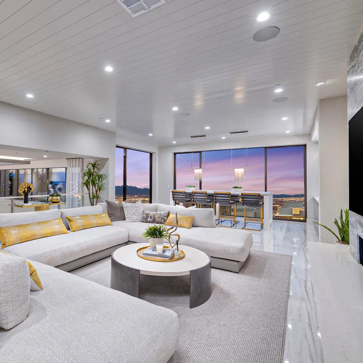 SkyVu Home 217 Loft