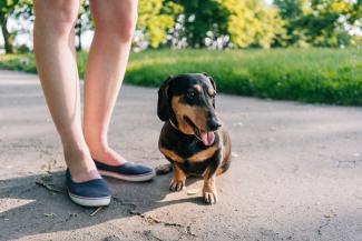 Resident walking her dog