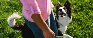 Community dog parks