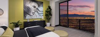 SkyVu Home 218 Suite