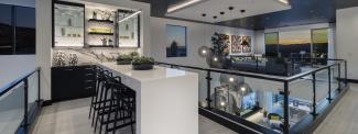 SkyVu Luxury Estate Home Collection
