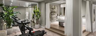 SkyVu 215 - Wellness Suite