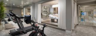 SkyVu Home 217 Workout Room