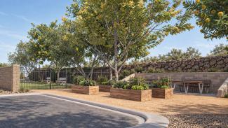 Rocky Ridge community garden beds beside the fenced dog park