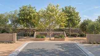 Rocky Ridge community garden and orchard at the end of the street